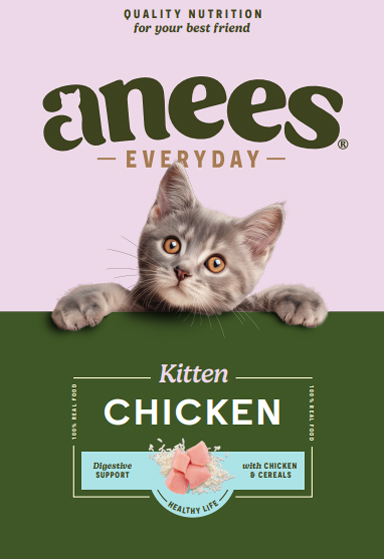Kitten Chicken
