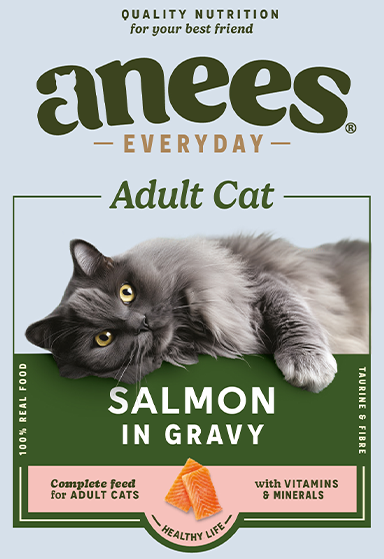 Adult Cat Salmon in Gravy