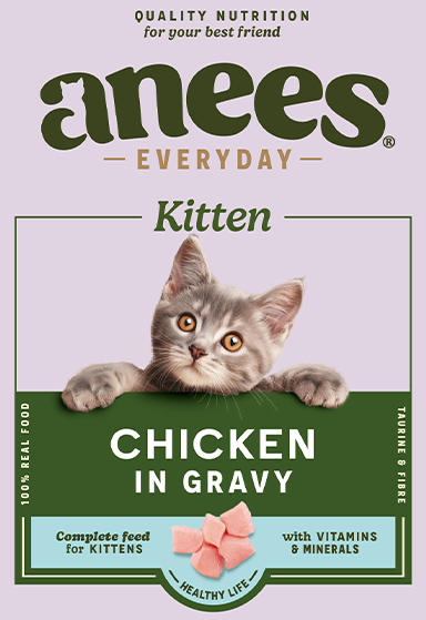 Kitten Chicken in Gravy