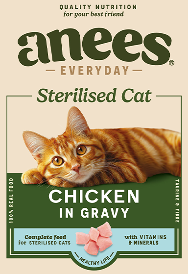 Sterilised Cat Chicken in Gravy